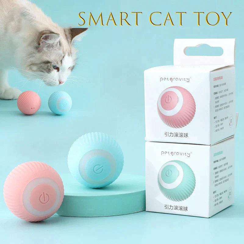 Bolinha interativa para gatos - Shop Ofertas Max